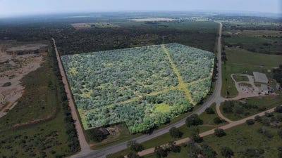 /international/us/24715-n-us-hwy-377-london-tx-110106813084/