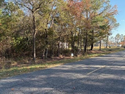 /international/us/wilson-landing-road-cross-sc-110104196410/