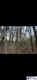 /international/us/tbd-us-hwy-52-cheraw-sc-110101071156/