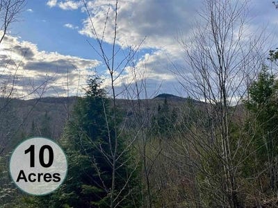 /international/us/lost-nation-road-east-haven-vt-110108061429/