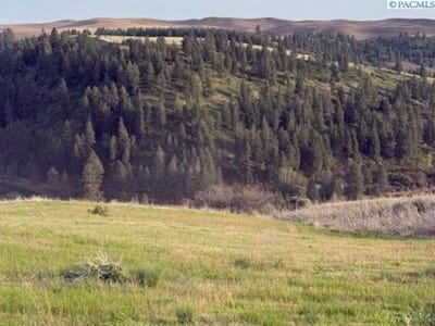 /international/us/lot-5-red-tail-ridge-colfax-wa-110099065191/