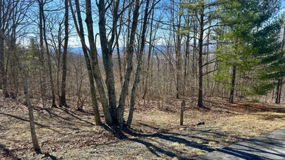 /international/us/white-rock-trail-lot-92-caldwell-wv-110106030824/