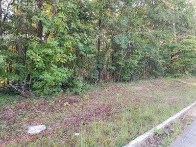 /international/us/4885-hog-mountain-road-flowery-branch-ga-110102577409/