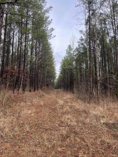 /international/us/cr-324-rd-w-iuka-ms-110105110951/