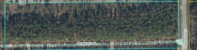 /international/us/cowpen-road-sanderson-fl-110100161794/