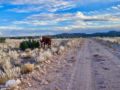 /international/us/tbd-n6422-st-johns-az-110096152878/?lang=zh-tw