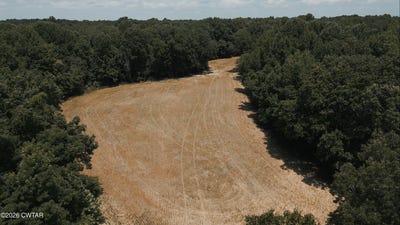 /international/us/girl-scout-road-burlison-tn-110108230634/