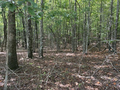 /international/us/2-lake-trail-lot-324-dunlap-tn-110110230334/