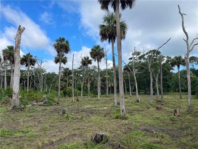 /international/us/7-beauregard-boulevard-daufuskie-island-sc-110095630008/?lang=zh-tw