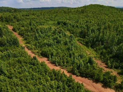 /international/us/0-cedar-springs-road-talladega-al-110101452305/?lang=zh-cn