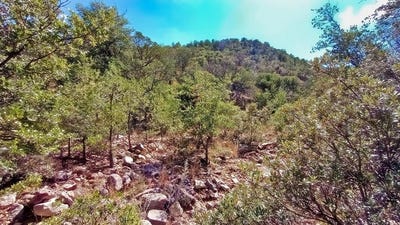 /international/us/311-colleen-canyon-trail-fort-davis-tx-110095379981/