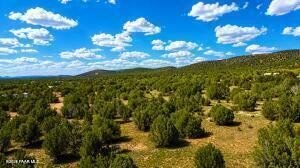 /international/us/155-w-highland-street-williams-az-110110365294/