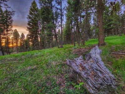 /international/us/289-seclusion-point-seeley-lake-mt-110105933194/