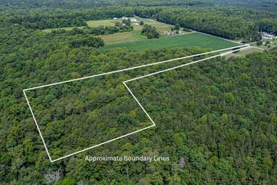 /international/us/black-stump-road-lot-4-weems-va-110109592183/