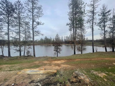 /international/us/11103-s-green-gate-ln-medical-lake-wa-110097887146/