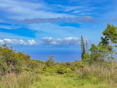 /international/us/59-upper-maulua-papaaloa-hi-110104841666/