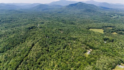 /international/us/0-love-lady-creek-monroe-va-110100466337/