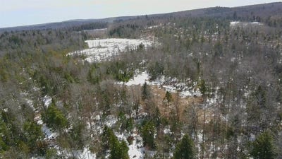 /international/us/tbd-trafton-road-parkman-me-110098645850/