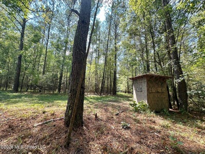 /international/us/8-forest-service-road-562-pulaski-ms-110106365278/