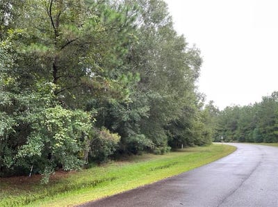 /international/us/0-la-sole-lane-waverly-ga-110100216320/
