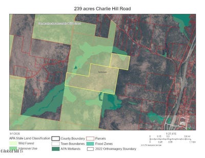 /international/us/l37-charley-hill-road-schroon-lake-ny-110119754535/