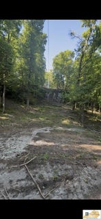 /international/us/wilderness-road-lot-136-137-mammoth-cave-ky-110108237047/