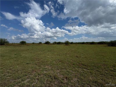 /international/us/mile-13-weslaco-tx-110107682128/