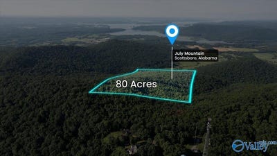 /international/us/80-acres-bella-vista-drive-scottsboro-al-110101038623/?lang=zh-tw