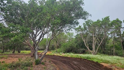 /international/us/cr-119-burnet-tx-110100419161/