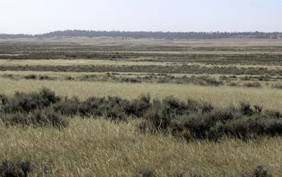 /international/us/lindstrom-road-shepherd-mt-110101908217/