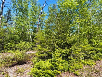 /international/us/northland-heights-drive-lot-25-presque-isle-mi-110104276373/