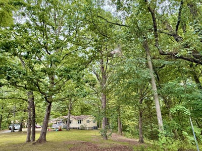 /international/us/5404-sawyer-road-signal-mountain-tn-110101244065/