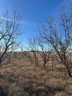 /international/us/5536-ponderosa-dr-snyder-tx-110104306258/