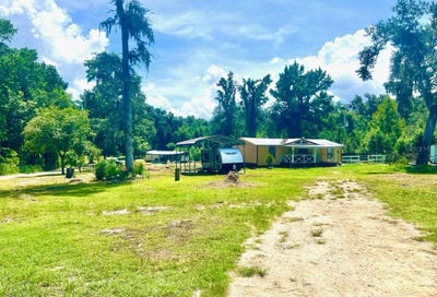 /international/us/17045-nw-128th-terrace-reddick-fl-110101421550/