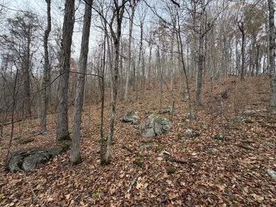 /international/us/0-spring-hill-rd-healing-springs-va-110103482847/