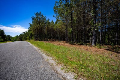 /international/us/burntfields-rd-fulton-ms-110107893418/