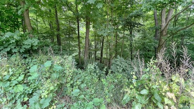 /international/us/171-center-road-vernon-ct-110092832905/?lang=zh-cn
