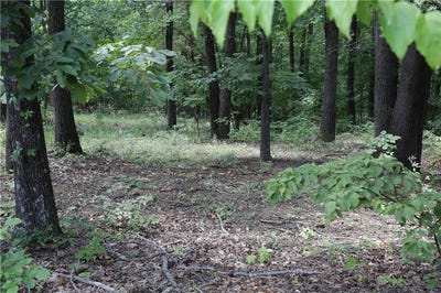 /international/us/lot-34-block-3-runnymede-ln-bella-vista-ar-110100995635/?lang=en