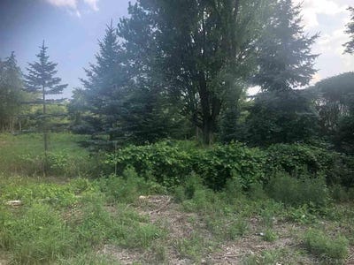 /international/us/31-mile-rd-parcel-3-ray-twp-mi-110104438158/