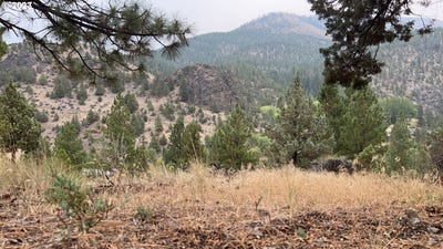 /international/us/adams-dr-canyon-city-or-110092705932/?lang=en
