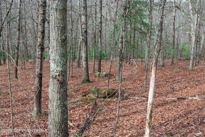 /international/us/station-hill-road-henryville-pa-110107776200/