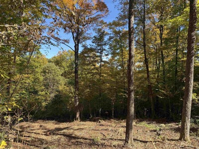 /international/us/wood-yard-crossing-lot-8-pittsburg-nh-110110208347/