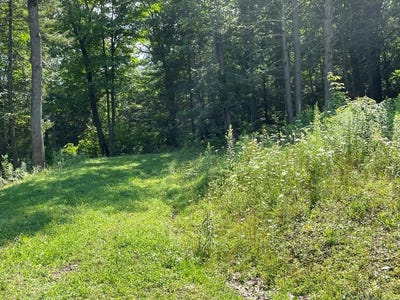 /international/us/lot-43-hemlock-hills-rd-towanda-pa-110090761096/