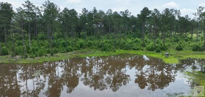 /international/us/county-road-2468-douglassville-tx-110108415724/