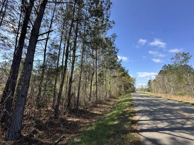 /international/us/snider-avenue-lot-a-al-110106722040/