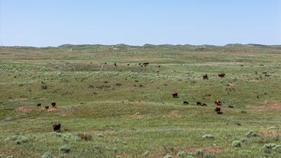 /international/us/0000-hwy-385-bonner-ne-110101320749/