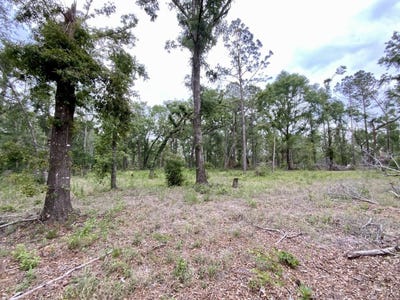 /international/us/vacant-ne-bellville-road-pinetta-fl-110100516147/?lang=zh-cn