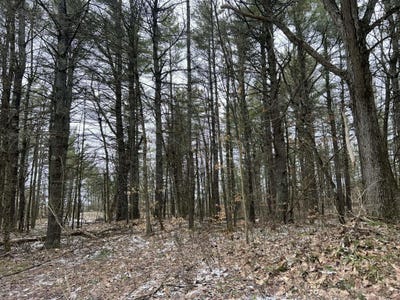 /international/us/whitaker-rd-lot-13-hammond-ny-110106769784/