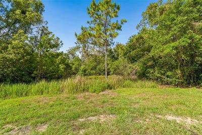 /international/us/00-hamrich-dade-city-fl-110108381260/