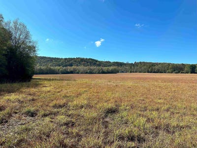 /international/us/peaceful-valley-road-dover-ar-110095626314/